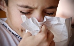 File: The World Health Organization estimates that as many as 650,000 people worldwide die of respiratory diseases linked to seasonal flu each year.