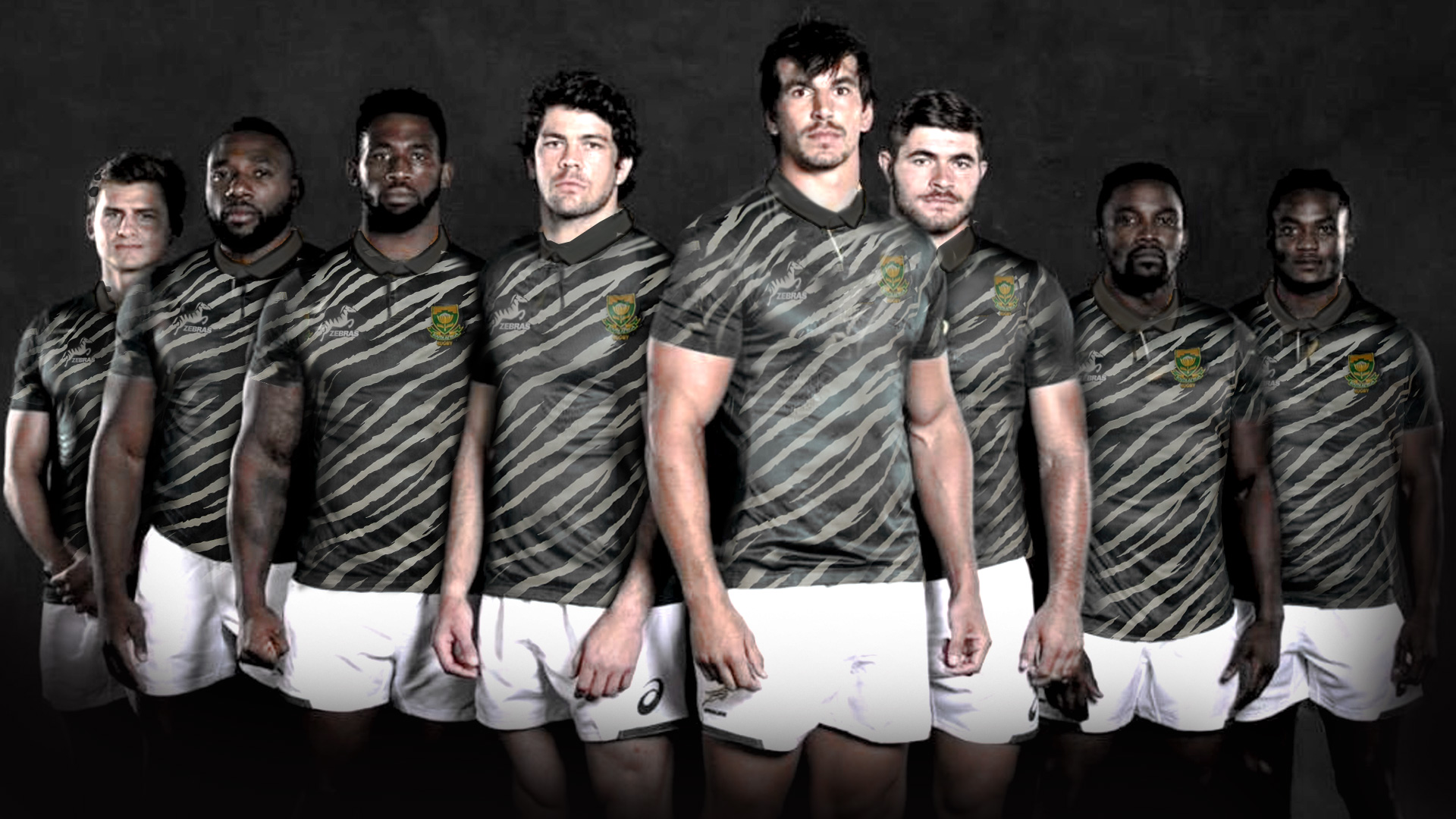 Springboks new Zebra kit.