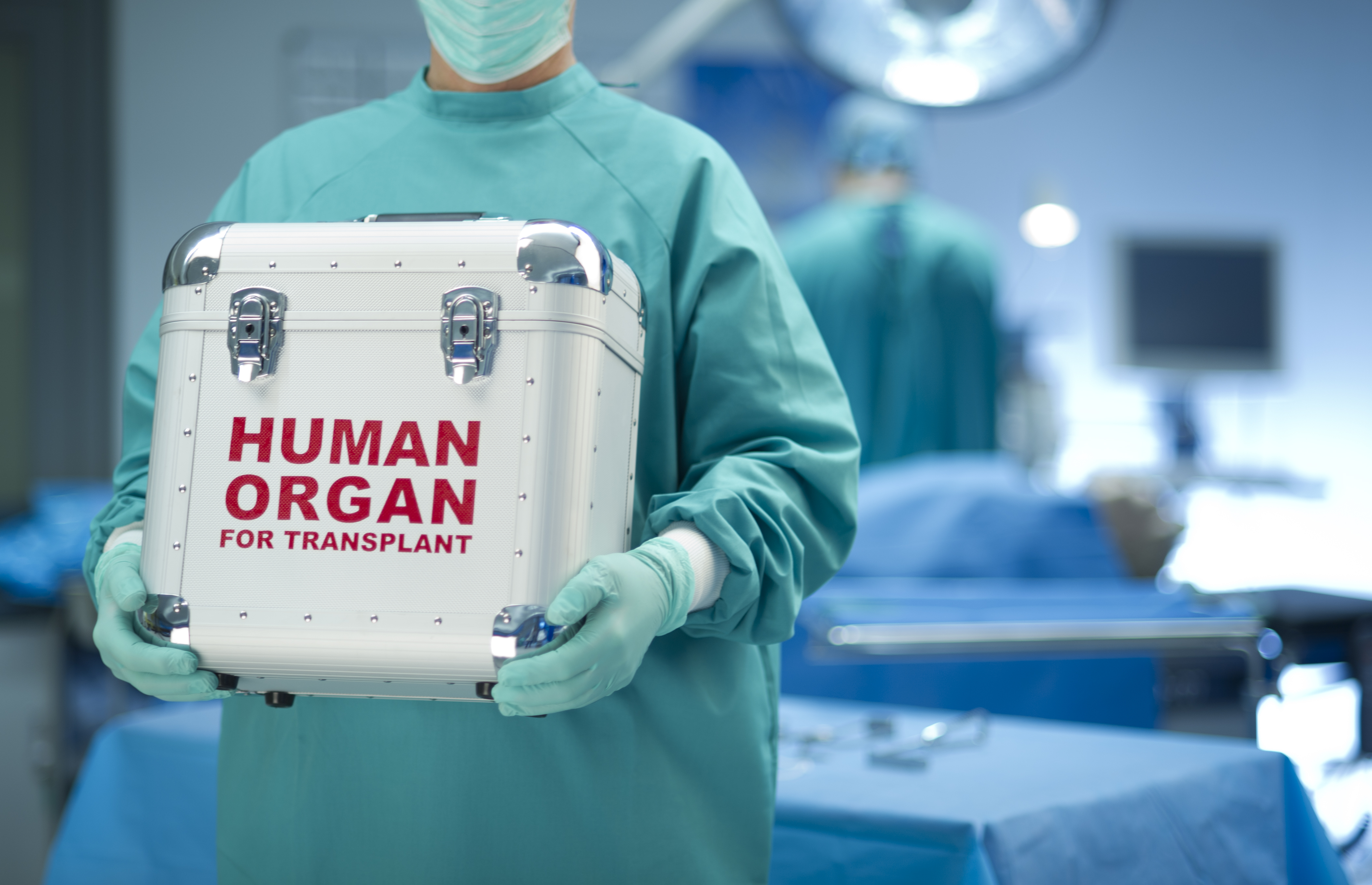 Human Organs. GettyImages-160194832.jpg