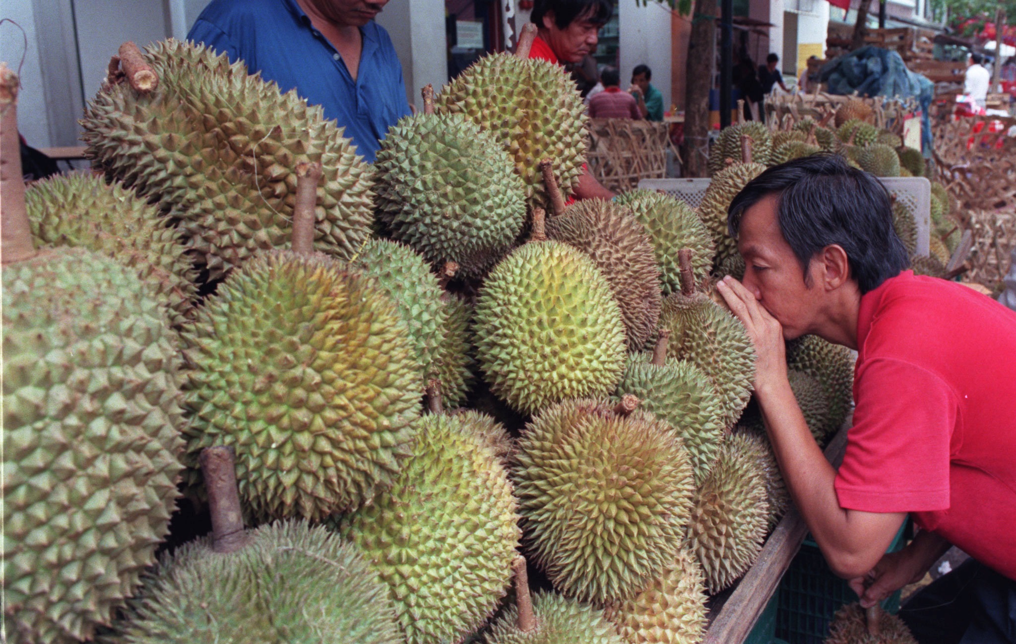 Durian, Raja Buah | Sumber: Enca.com