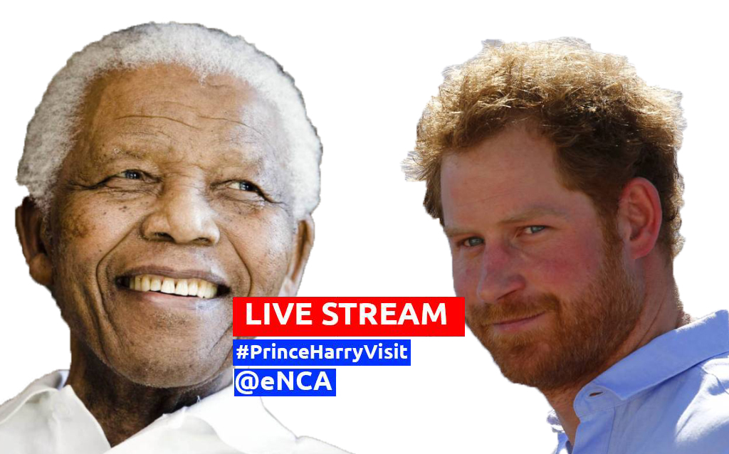 harry nelson watches