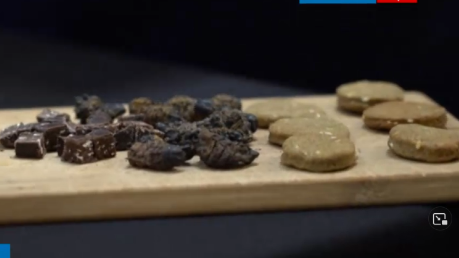 Mopane worms edibles