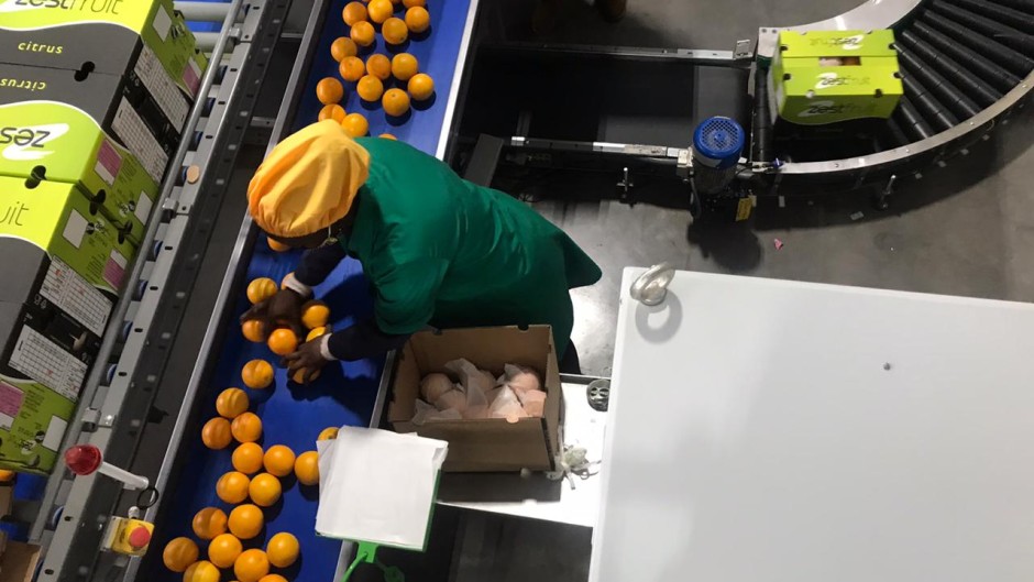 Citrus farmers say business is booming.