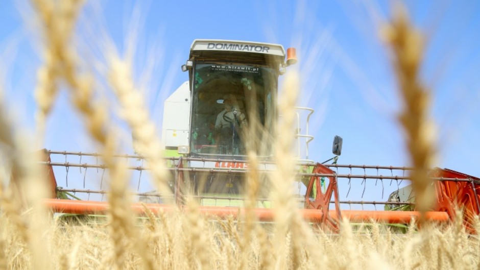 In 2019 and 2020 wheat harvests had reached five million tonnes, enough to guarantee "self-sufficiency" for Iraq but now the country will need to important wheat, according to the agriculture ministry