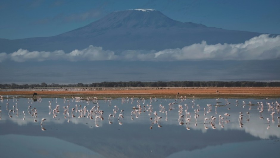 Immortalised in Ernest Hemingway's 'The Snows of Kilimanjaro', the mountain is a UNESCO World Heritage site