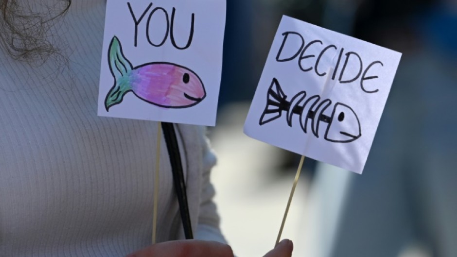 A climate protester in Munich last month 
