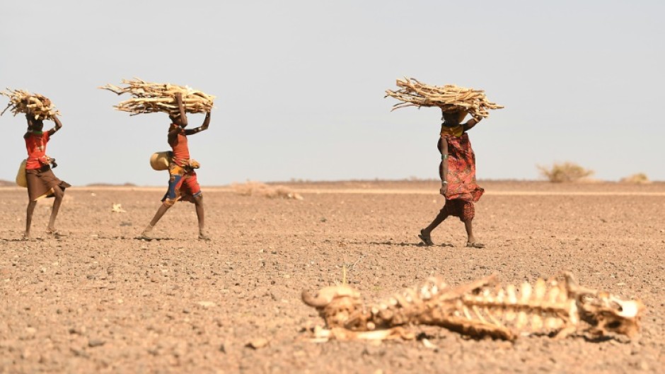 Kenyan women carrying firewood walk past a carcass of a cow in the drought-hit Loiyangalani region in July