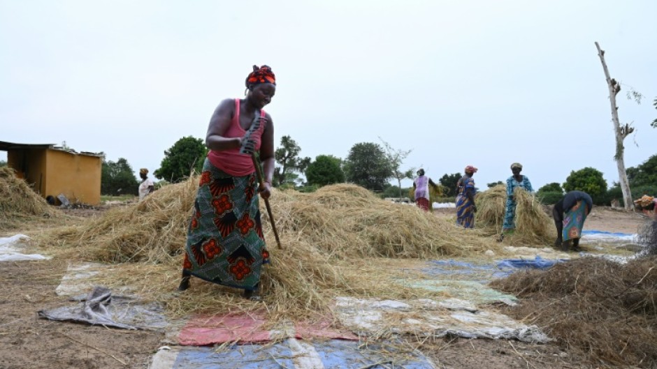 Africa accounts for 13 percent of the world population but 32 percent of global rice imports