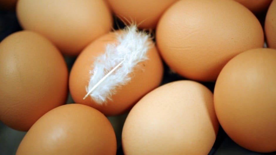 File: Fresh eggs. AFP/Fred Tannueau