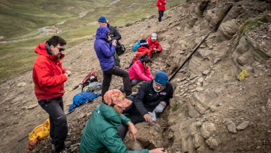 An image released by the Chilean Antarctic Institute shows scientists working at a fossil site in February 2020 at Cerro Guido in southern Chile's Las Chinas valley