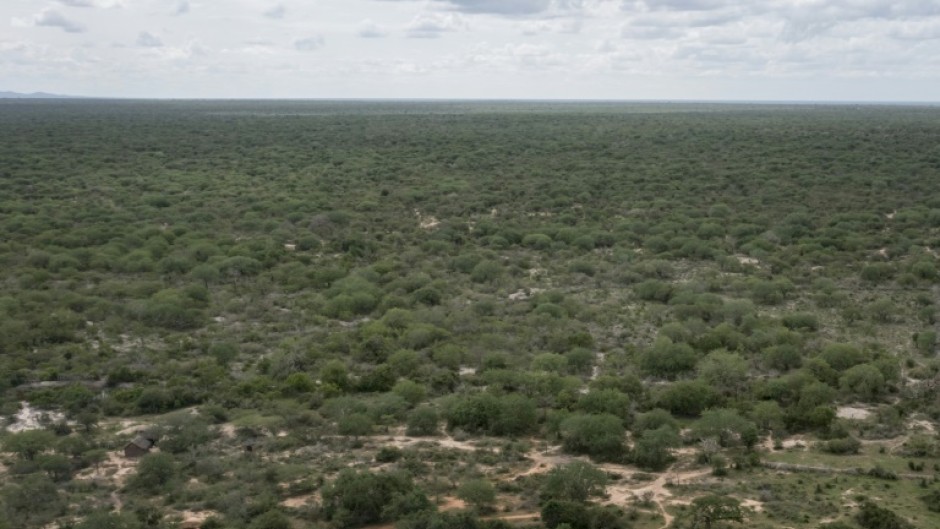 The discovery of bodies buried in the 325-hectare (800-acre) Shakahola forest shocked Kenyans