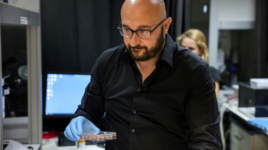 Dr Jacob Hanna working at Israel's Weizmann Institute of Science last year