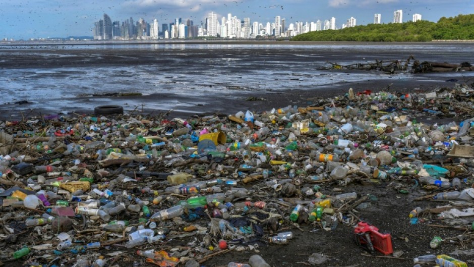 Much of the plastic pollution in the sea is from single-use items