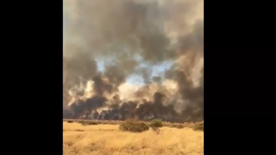 Five SANDF members have died, and several others have been injured after a veld fire swept across a combat training centre in Lohatla, Northern Cape.