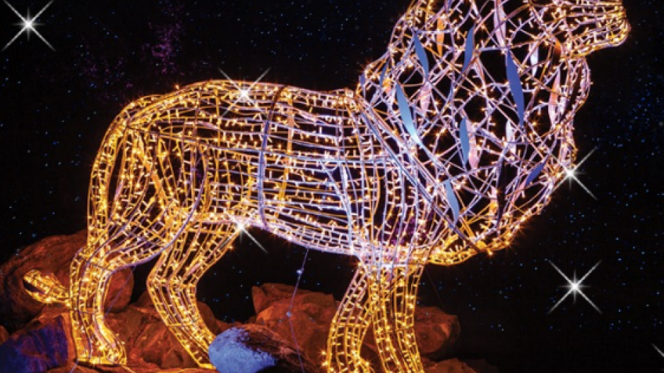 A lion featuring in the Joburg Festival of Lights.