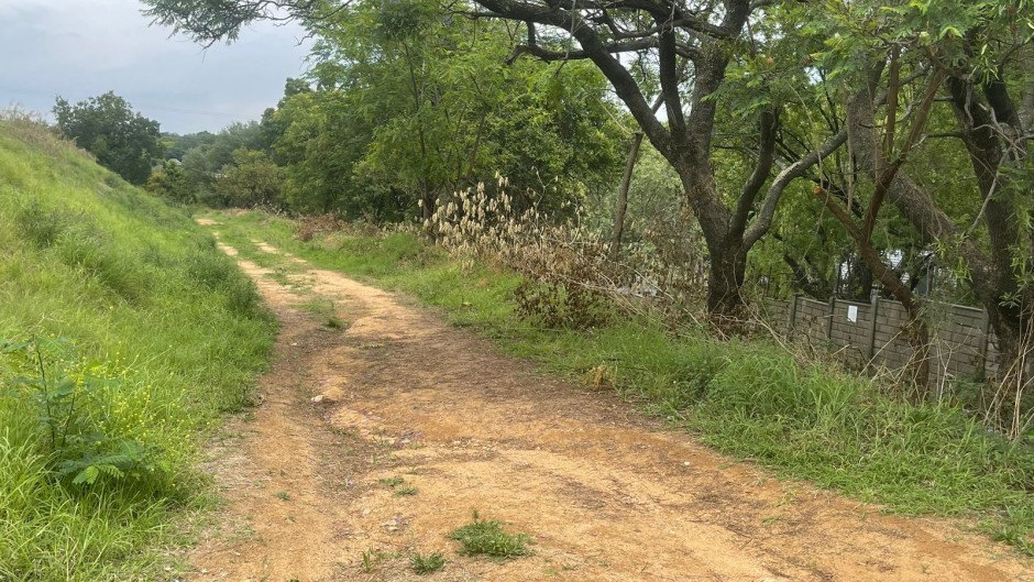 Murder of Kirsten Kluyts