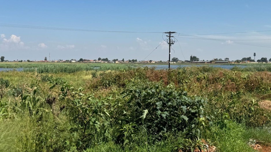 Sewage from the wetland frequently floods homes and a school. eNCA/Moloko Moloto