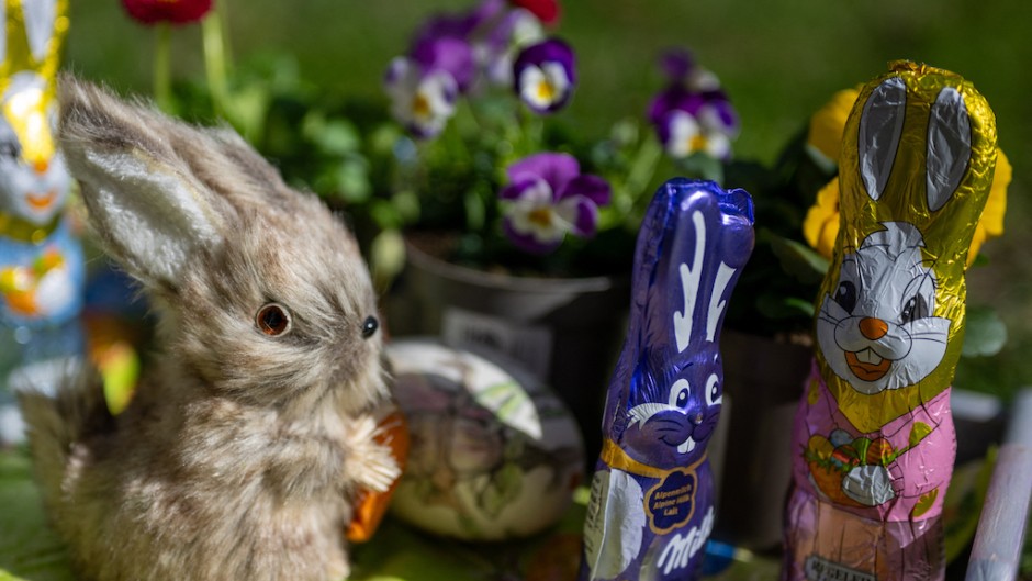 A decorative Easter bunny and chocolate bunnies. AFP/Monika Skolimowska/DPA
