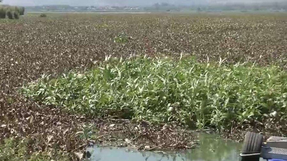 The Hartbeespoort Dam.