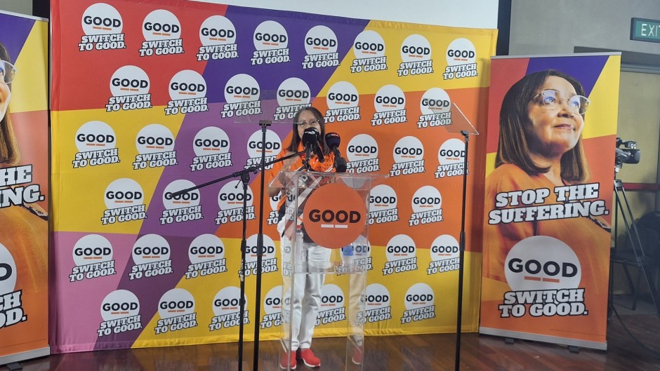 GOOD leader Patricia de Lille. eNCA/Pule Letshwiti-Jones