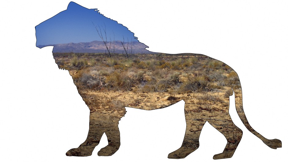 File: Artwork of a male African lion.