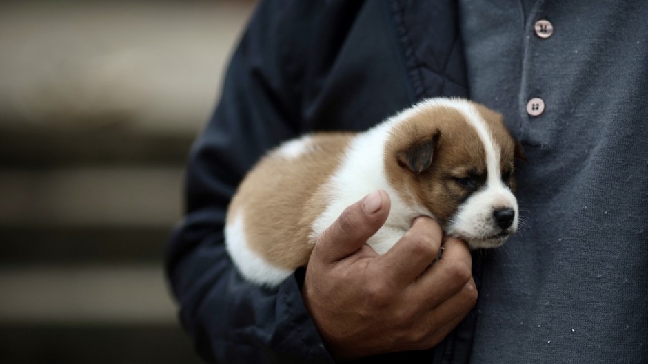 File: A man holds a puppy. AFP/Anselmo Cunha