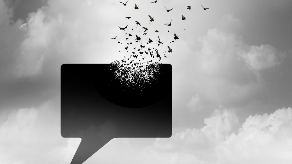 Adams and Adams defamation