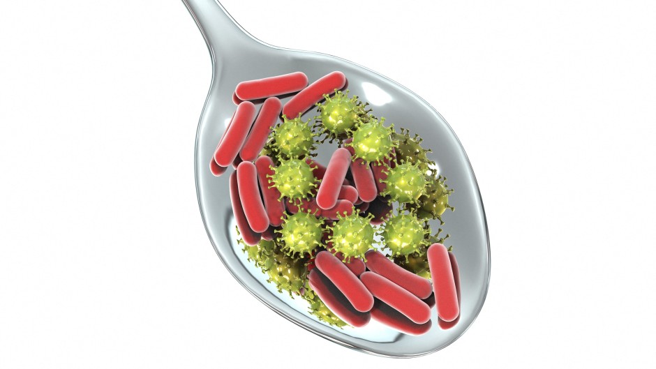 File: A conceptual illustration of foodborne infection. 