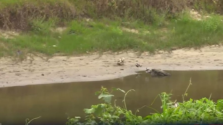 Sewage spills East London.JPG