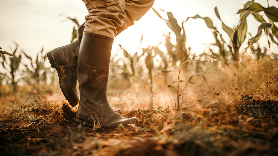 File: A worker walking around on a farm. GettyImages/eclipse_images