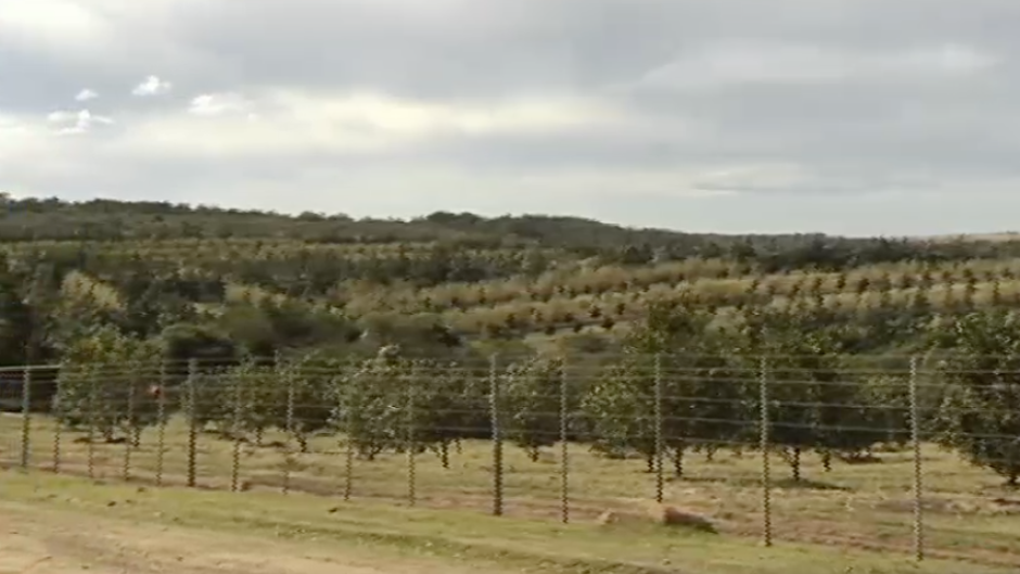 US accounts for 4% of South Africa's exports / eNCA 