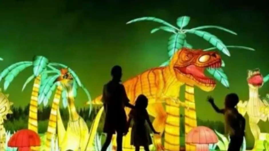 Magical light fest.JPG