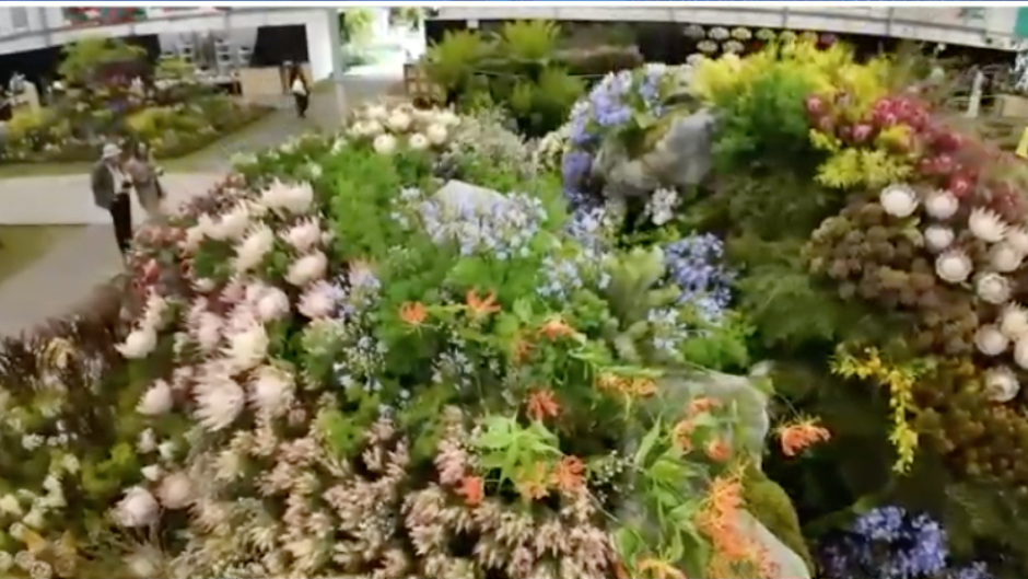 SA wins gold medal at Chelsea Flower Show