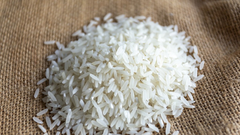 File: A handful of rice. Luis Boza/NurPhoto via AFP