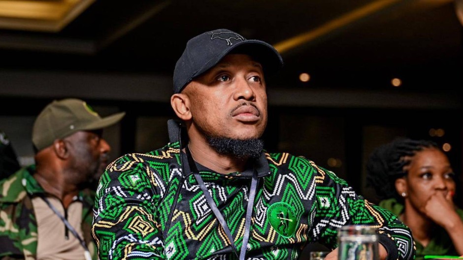 Nhlamulo Ndhlela - Umkhonto Wesizwe Party spokesperson