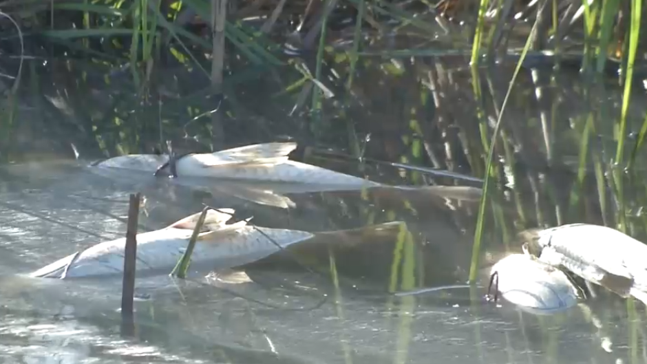 Kings Beach is experiencing a sewage spill.