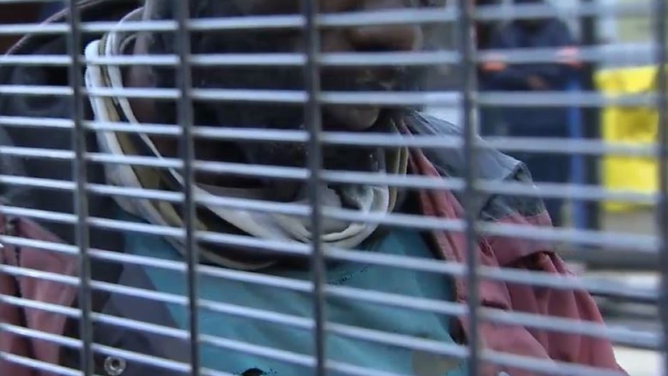 Alleged illegal Barberton Miner Sheba Mine