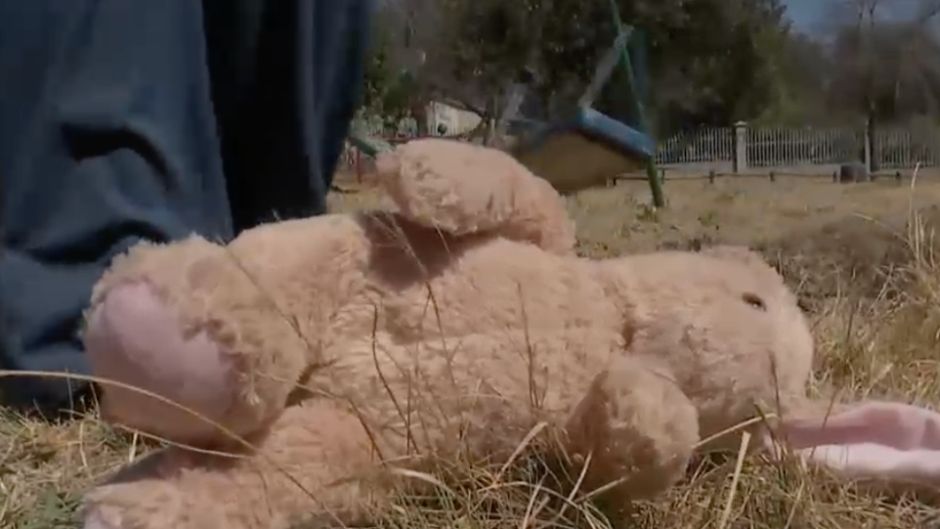 A teddy bear lying in a field.