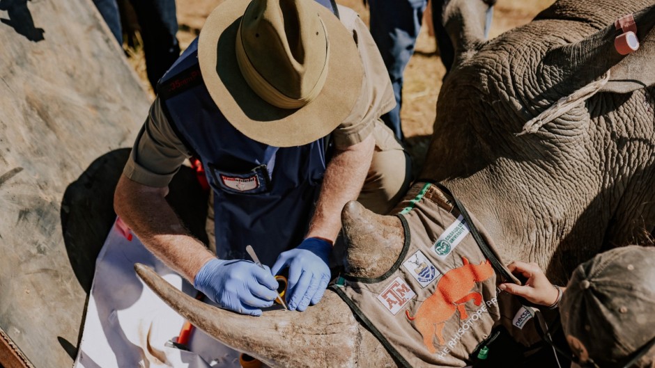 RENOSTERS Rhisotope-projek 