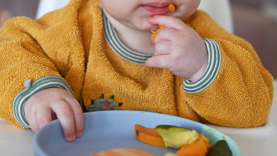 File: A baby sits at the table and reaches for different pieces of vegetables on a plate. Elisa Schu/dpa Picture-Alliance via AFP