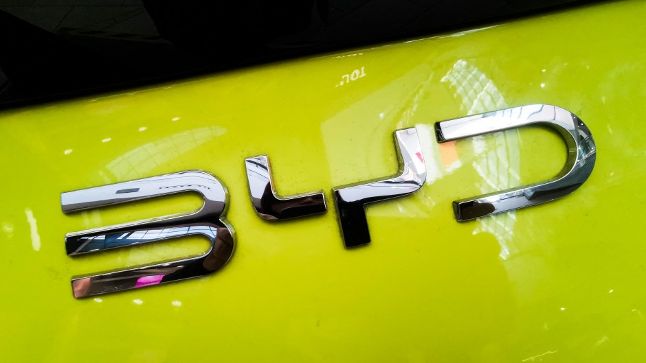 BYD logo is seen on a car. Beata Zawrzel/NurPhoto via AFP