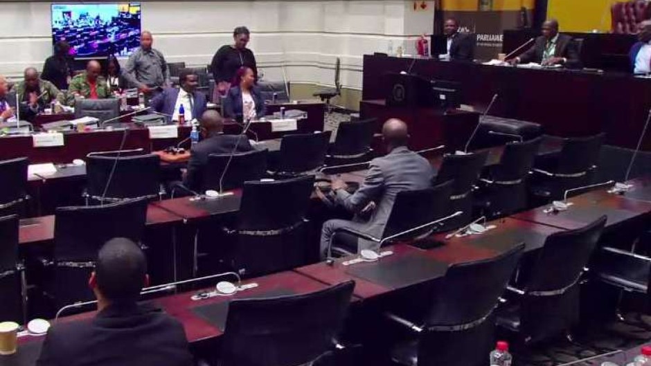 Ad hoc committee to investigate Mkhwanazi allegations