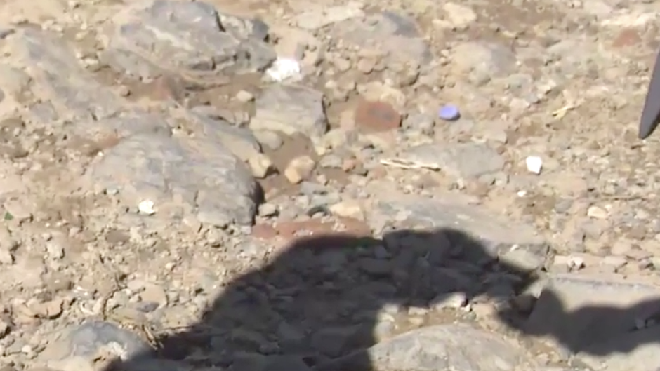 Anonymous UFS student SRC member