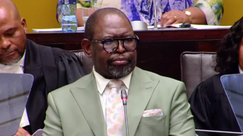 Finance Minister Enoch Godongwana 