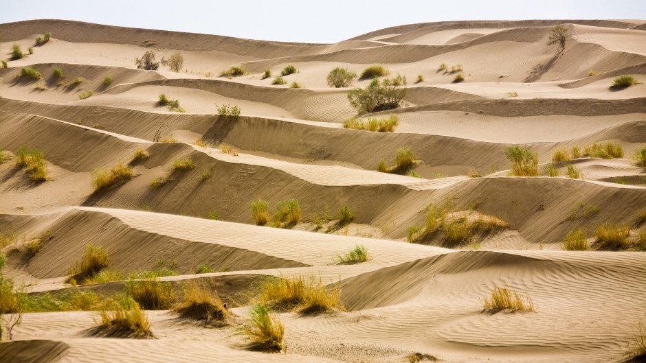 The Karakum Desert. Bjoern Holland/Connect Images via AFP