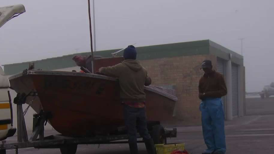 Shellfish unsafe for consumption