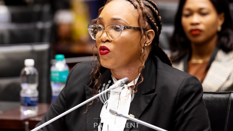 Ad Hoc Committee on Mkhwanazi: Lt Gen Hilda Senthumule, acting Dep Nat Commissioner for Crime Detection & Div Commissioner for Detective & Forensic Services is our witness today. Photo by Zwelethemba Kostile/Parliamentof RSA