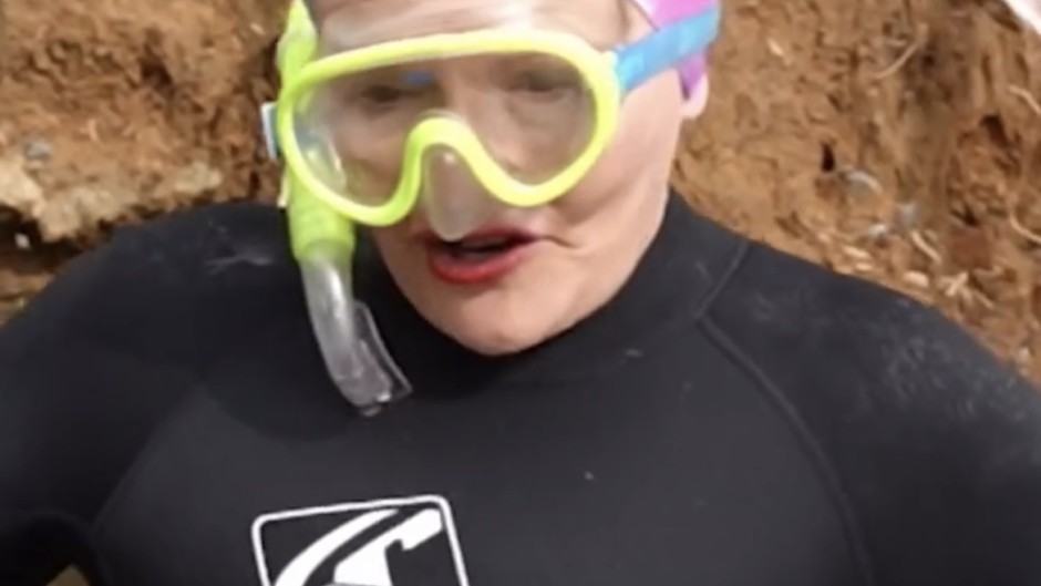 Helen Zille. Facebook/Helen Zille