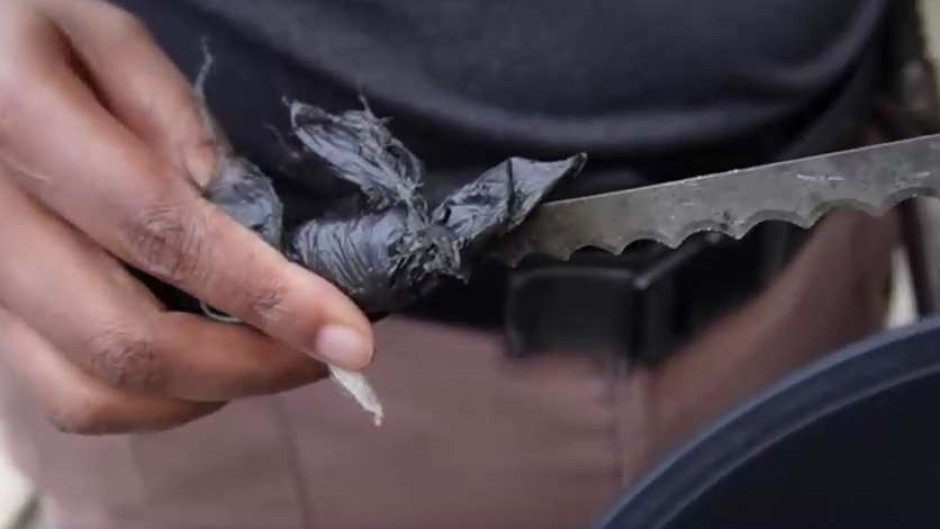 The search uncovered cellphones, dagga, Mandrax tablets, cash, and other unexpected items.