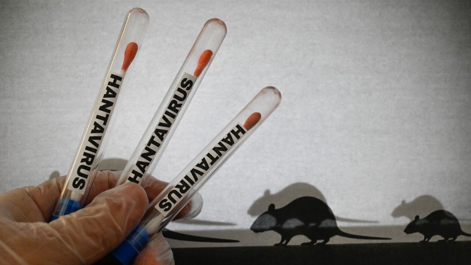 Hantavirus 3